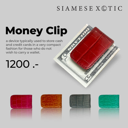 Money Clip