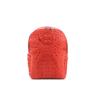 Alternative view of Backpack 510